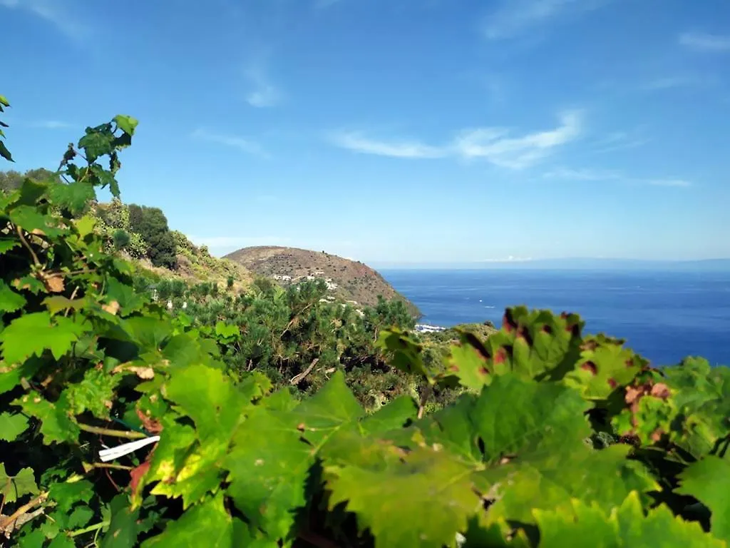 Daire Oasi Eoliana - Appartamento Panarea Santa Margherita